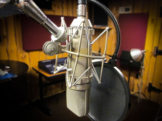 Photo of Neumann U87 microphone.